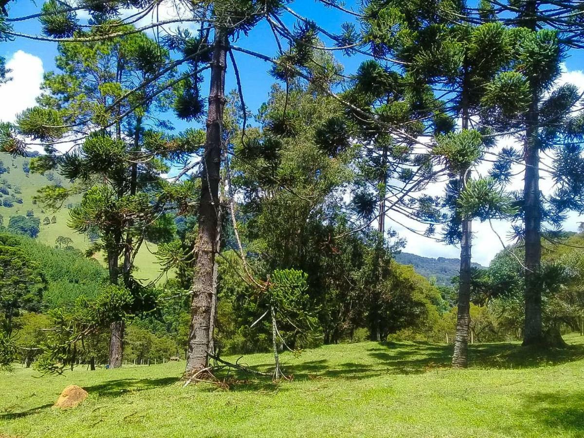 Sitio Refugio Das Araucarias Goncalves Exterior photo