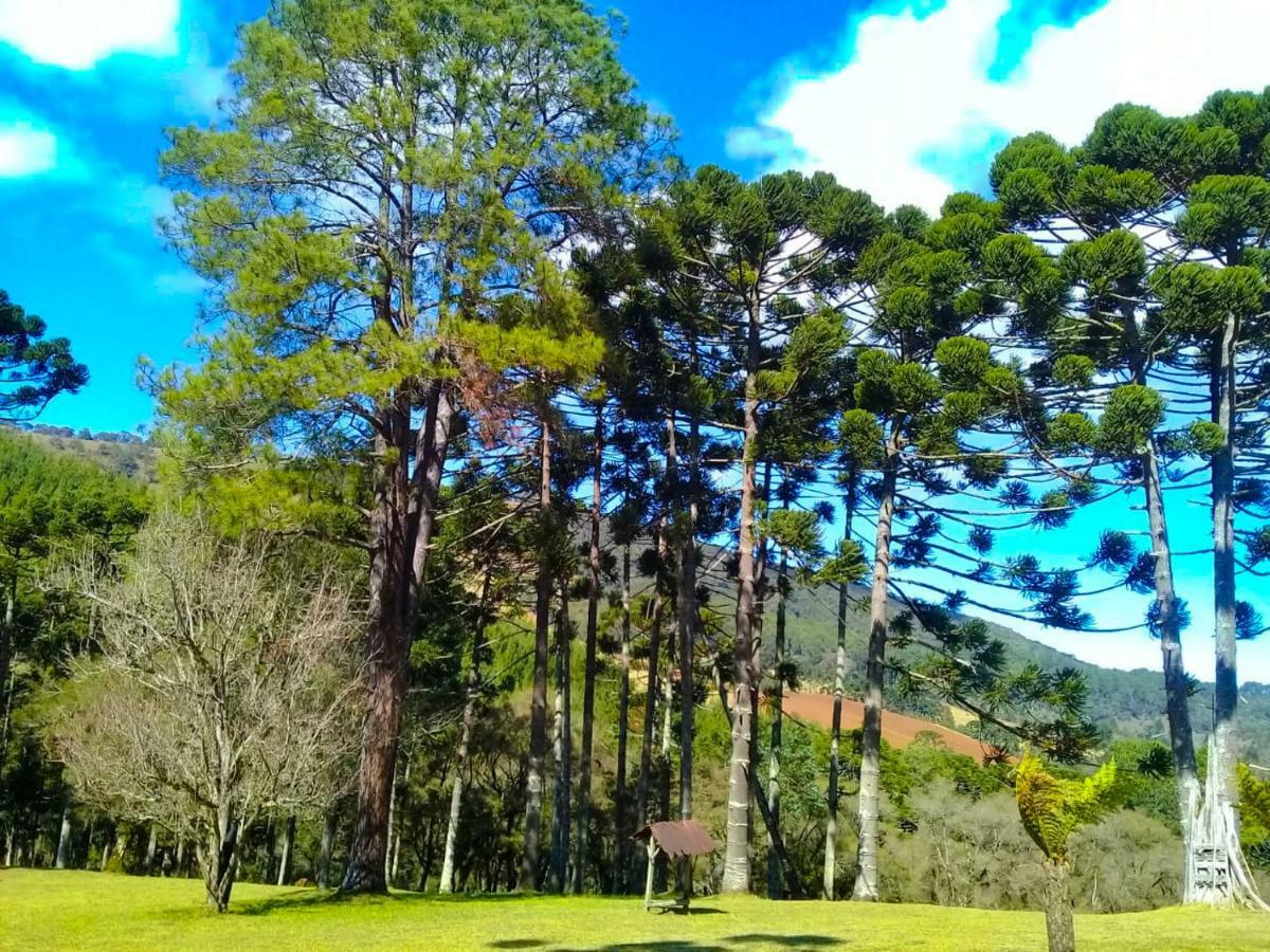 Sitio Refugio Das Araucarias Goncalves Exterior photo